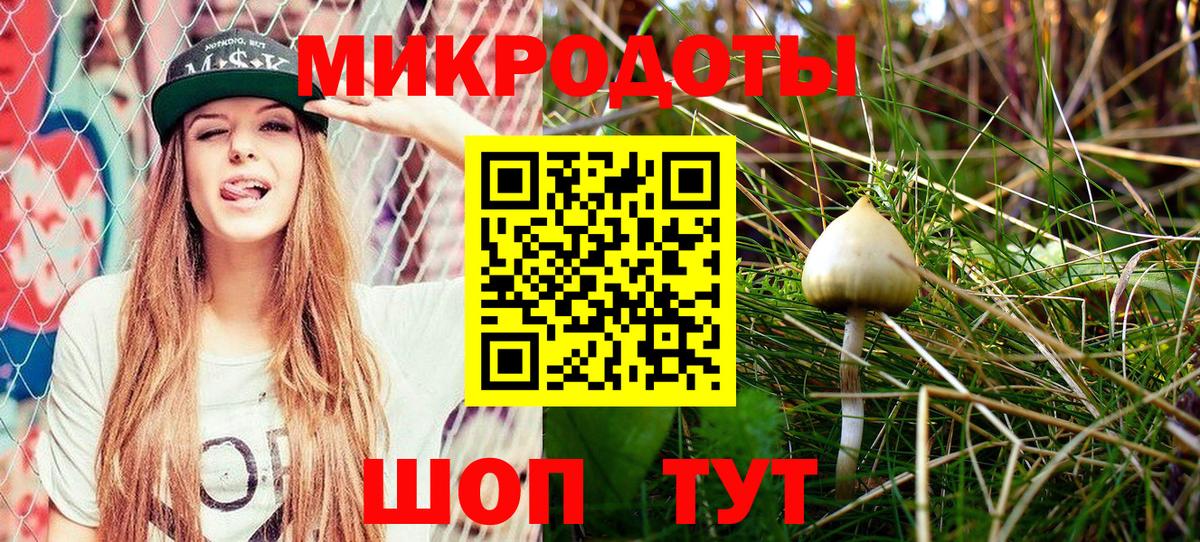 Чехов  Галлюциногенные грибы Psilocybe  Вход с VPN 
