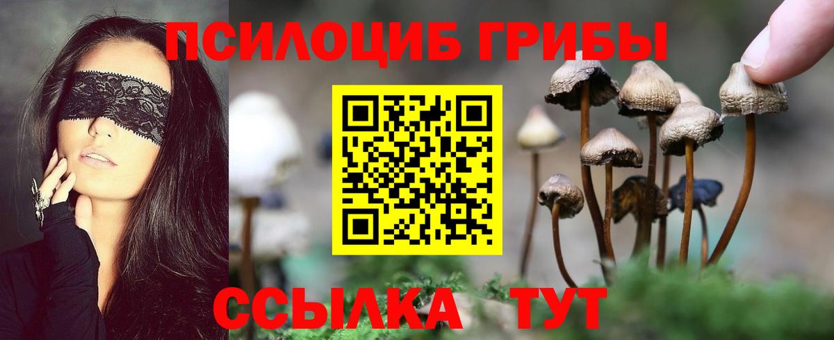 Псилоцибиновые грибы GOLDEN TEACHER Чехов