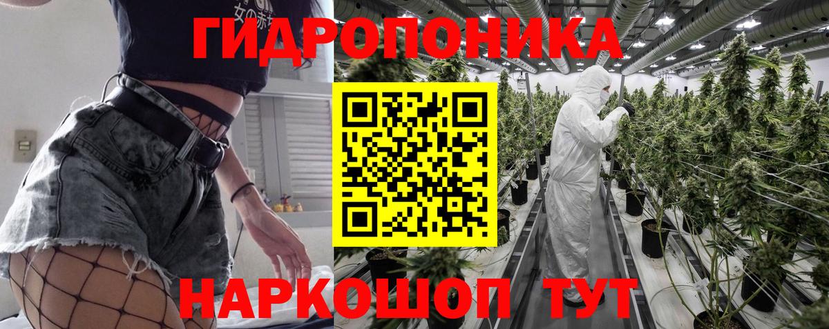 Бошки Шишки план Чехов